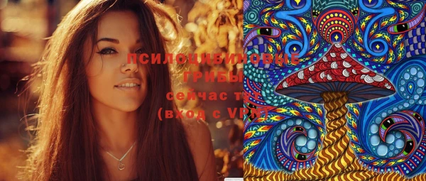 2c-b Медвежьегорск