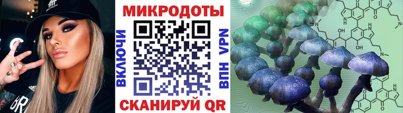 Псилоцибиновые грибы Psilocybe  закладка  Дмитровск 